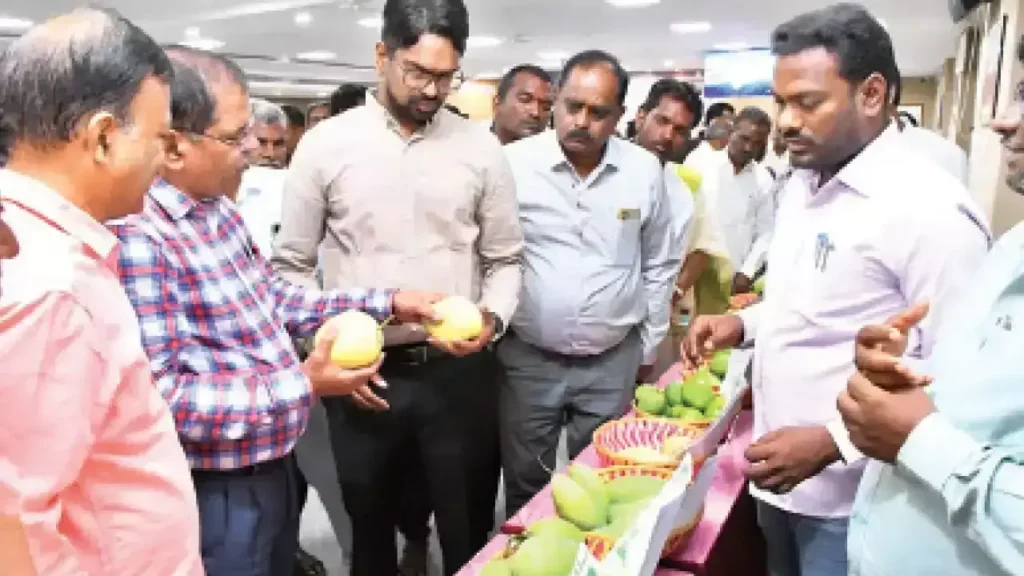 Farmers strike a deal to export 250 tonnes of mangoes n20